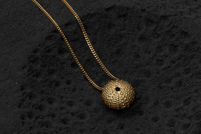 Gold Sea Urchin Necklace, gold-plated shell Necklace. Black background
