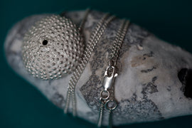 <transcy>Seeigel
 Silber Kette</transcy>