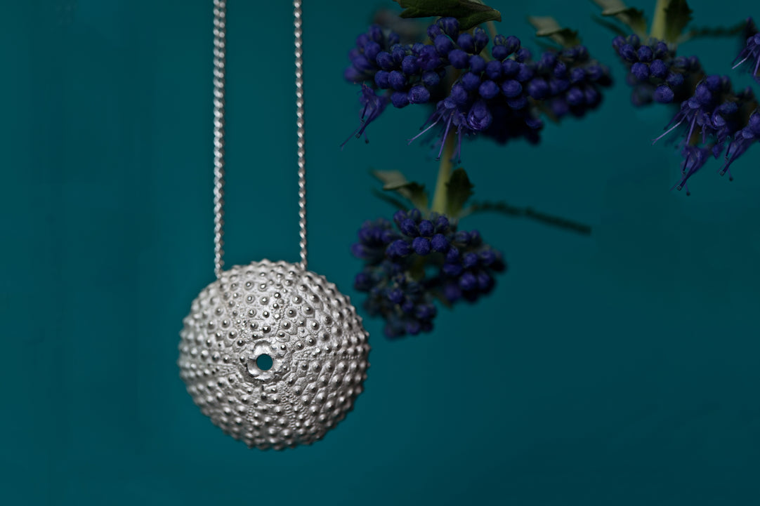 <transcy>Seeigel
 Silber Kette</transcy>