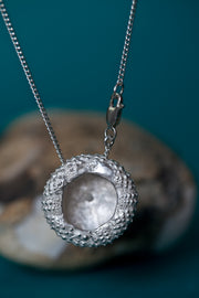 <transcy>Seeigel
 Silber Kette</transcy>