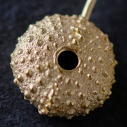 <transcy>Seeigel
 Goldohrringe</transcy>